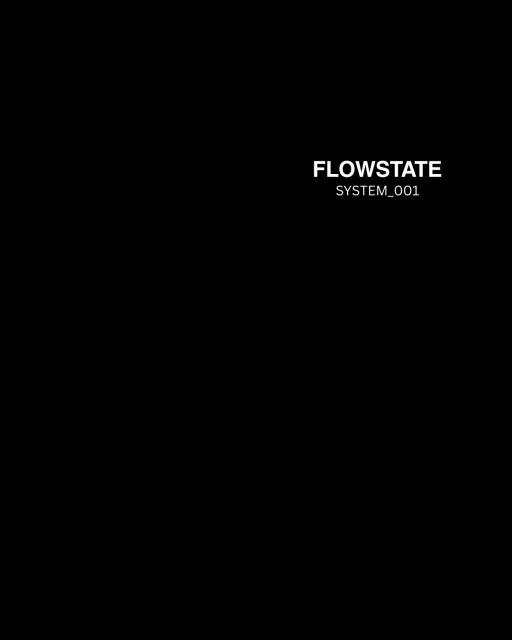 Flowstate SYSTEM_001 Oversized Tee - image 2
