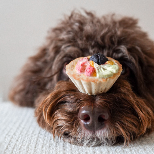 Freeze Dried FUR-uit Tart - image 2