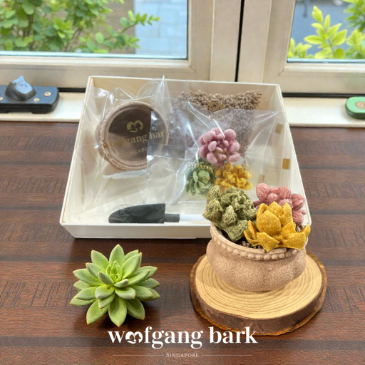 Freeze-Dried Edible Succulent DIY Kit - image 2