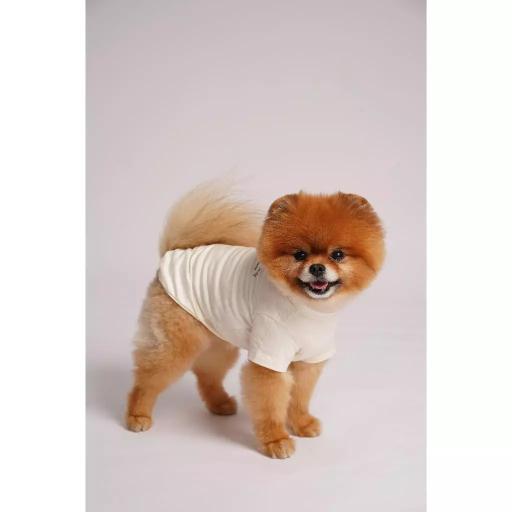 [Pawlovin] Daily Top - image 2