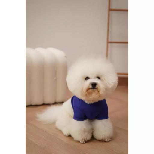 [Pawlovin] Daily Top - image 3