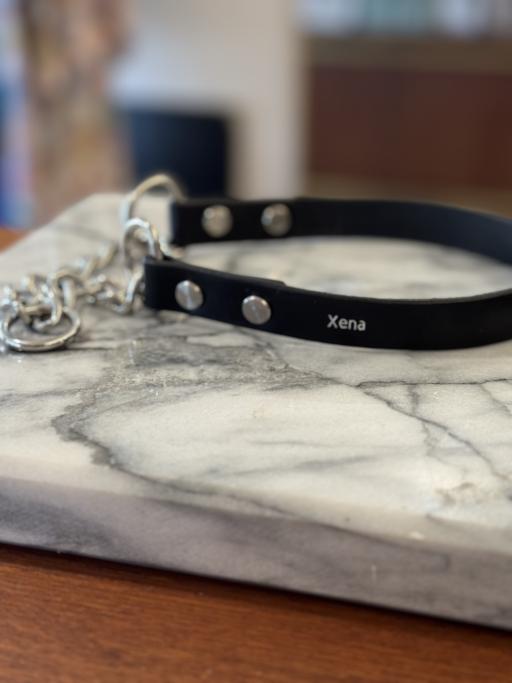 Custom pet collar - image 2