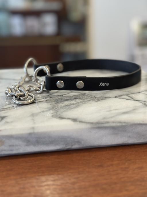 Custom pet collar - image 3