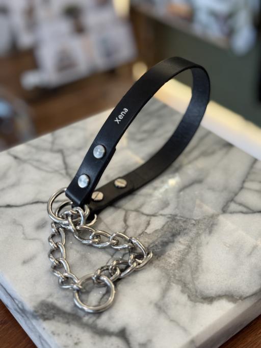 Custom pet collar - image 4
