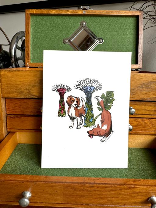 Garden City Postcard bundle- 4 pack - https://hitpay-production.s3.ap-southeast-1.amazonaws.com/products/img-7099-sm-6902db1855bd9.jpeg