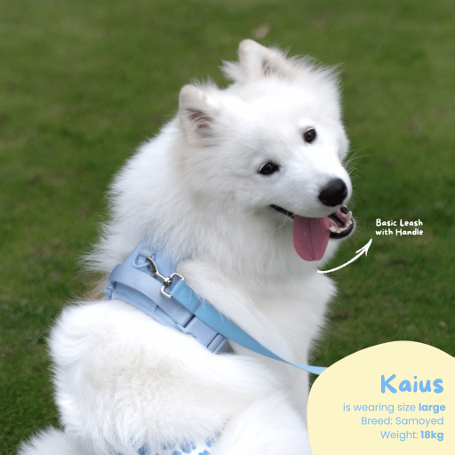 Walk Walk Harness - image 7