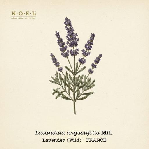 Lavender Essential Oil (Wild) FRANCE - image 1