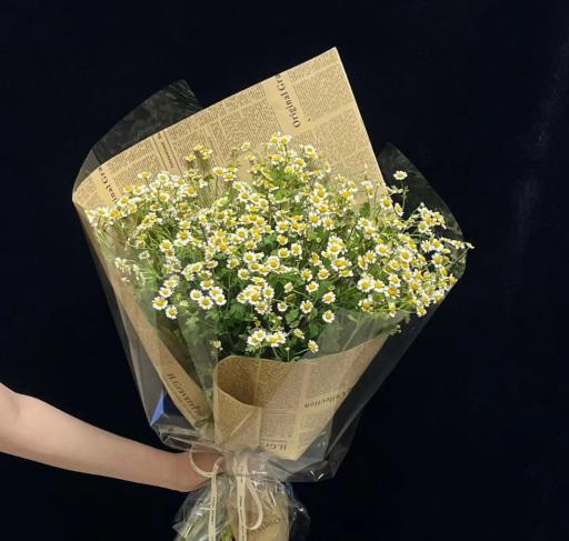 Lush Melody 丰盈旋律 - https://hitpay-production.s3.ap-southeast-1.amazonaws.com/products/lush-melody-38-6868186ea5ea1.jpeg