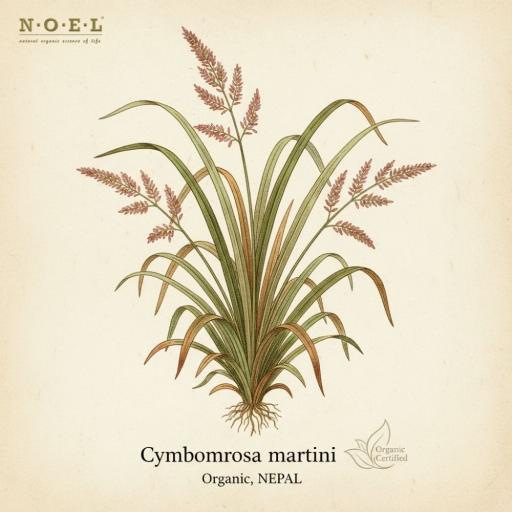 Palmarosa Essential Oil (Organic) NEPAL - image 1