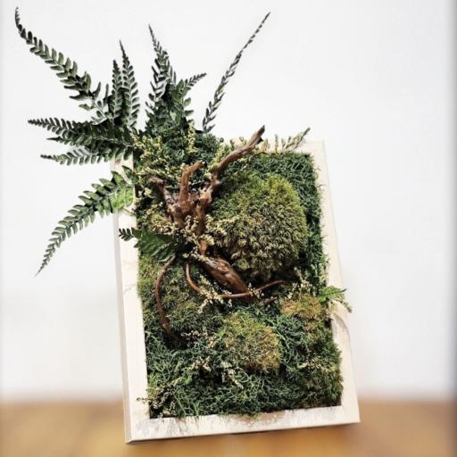 Preserved Nature - image 2