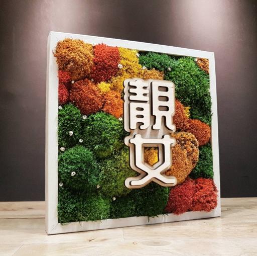 Preserved Moss Frame - image 4