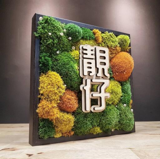 Preserved Moss Frame - image 3