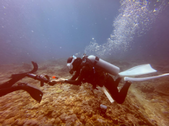 PADI® Diver Propulsion Vehicle Specialty - image 2