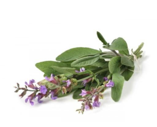 ByOrgMeans Clary Sage Essential Oil 10ml - image 3