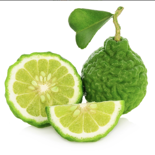 ByOrgMeans Bergamot FCF Essential Oil Organic 10ml - image 4