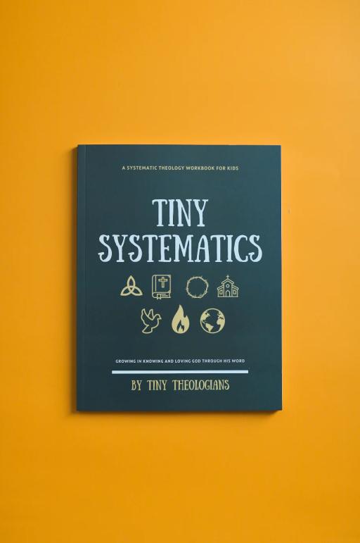 Tiny Systematics Workbook - image 1