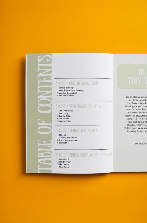 Tiny Systematics Workbook - image 2