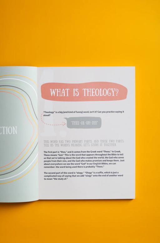 Tiny Systematics Workbook - image 3