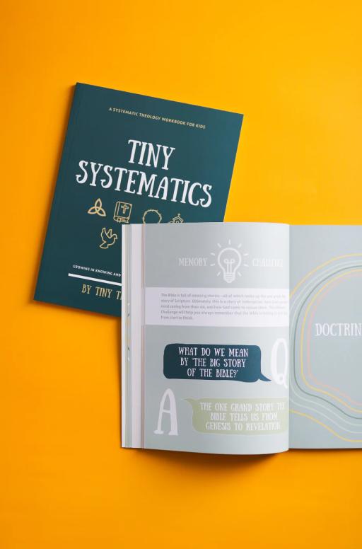 Tiny Systematics Workbook - image 4