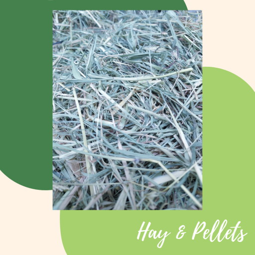 Star Grass Hay 500g - image 1