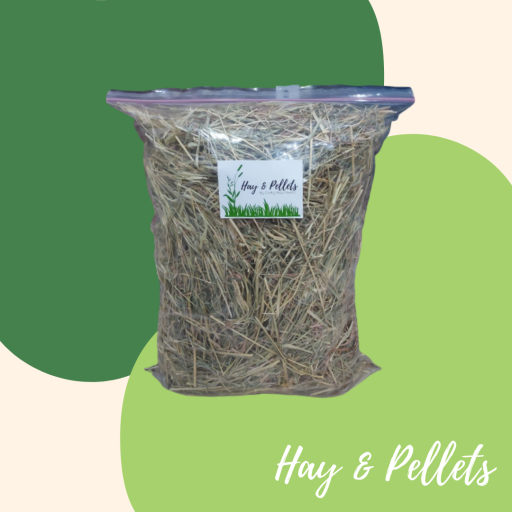 Star Grass Hay 500g - image 2