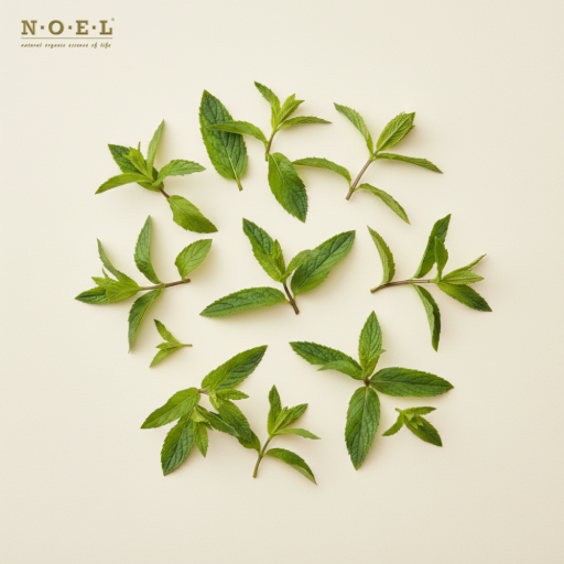 Spearmint Essential Oil (Organic) INDIA - image 2