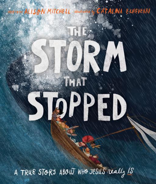 The Storm That Stopped Storybook - image 1