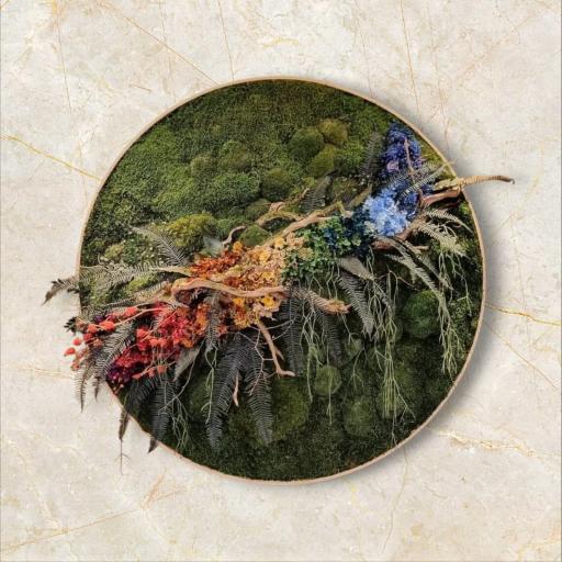 Degree of Freedom - image 1