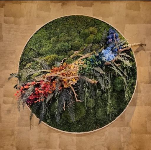 Degree of Freedom - image 4