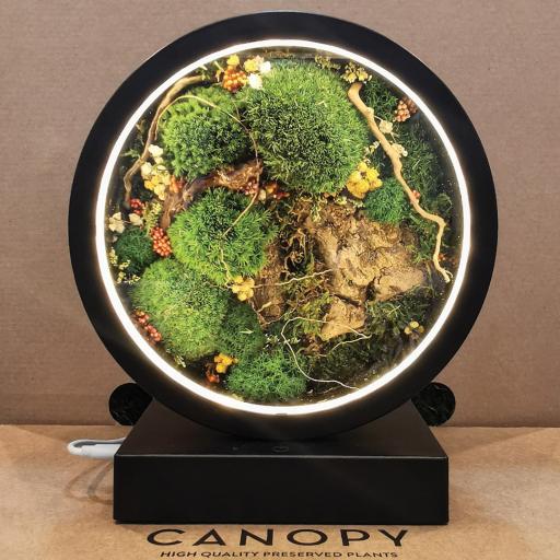 Preserved Moss Mood Lamp - image 1