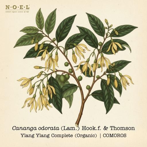 Ylang Ylang Complete Organic COMOROS - image 1
