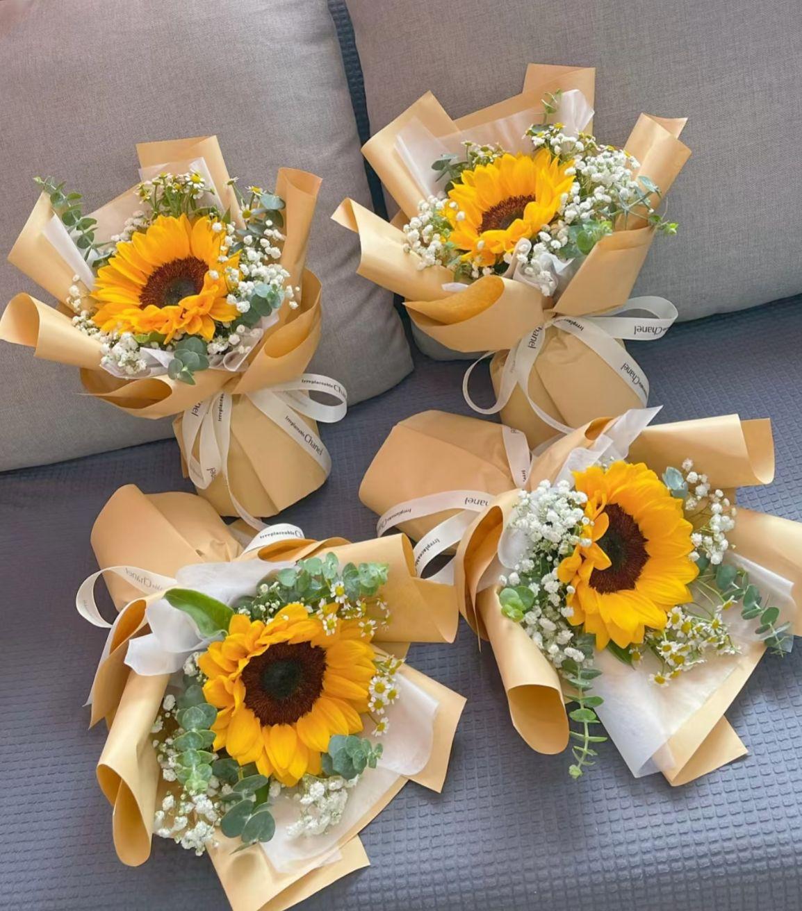 Sweet Sunshine 甜蜜阳光