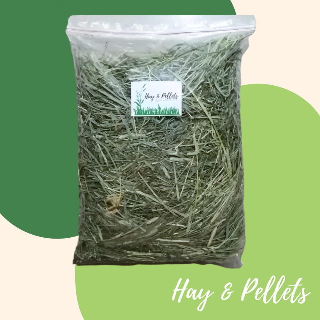 Timothy Hay | Anderson 1st Cut | 1kg Packaging