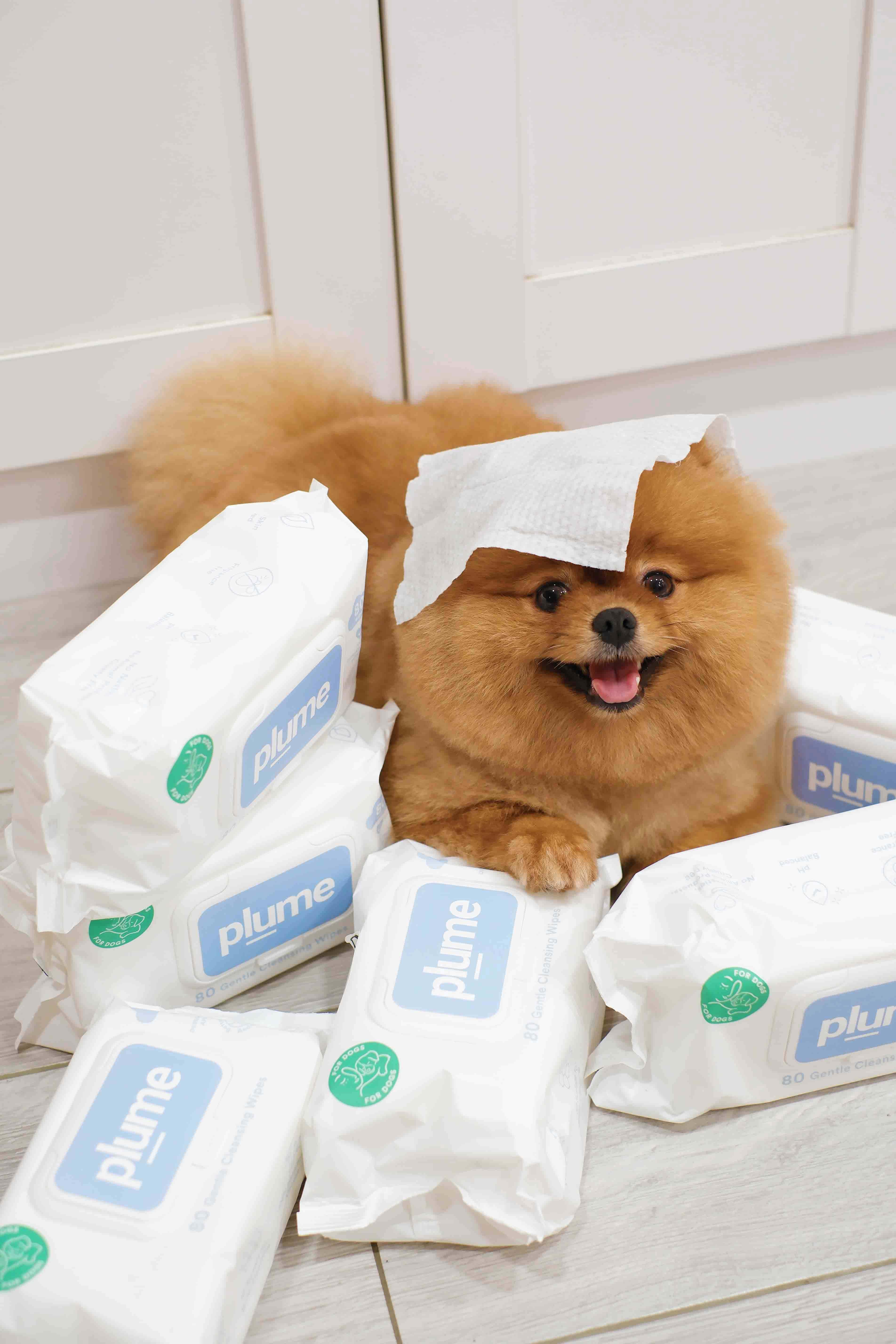 Wet Wipes